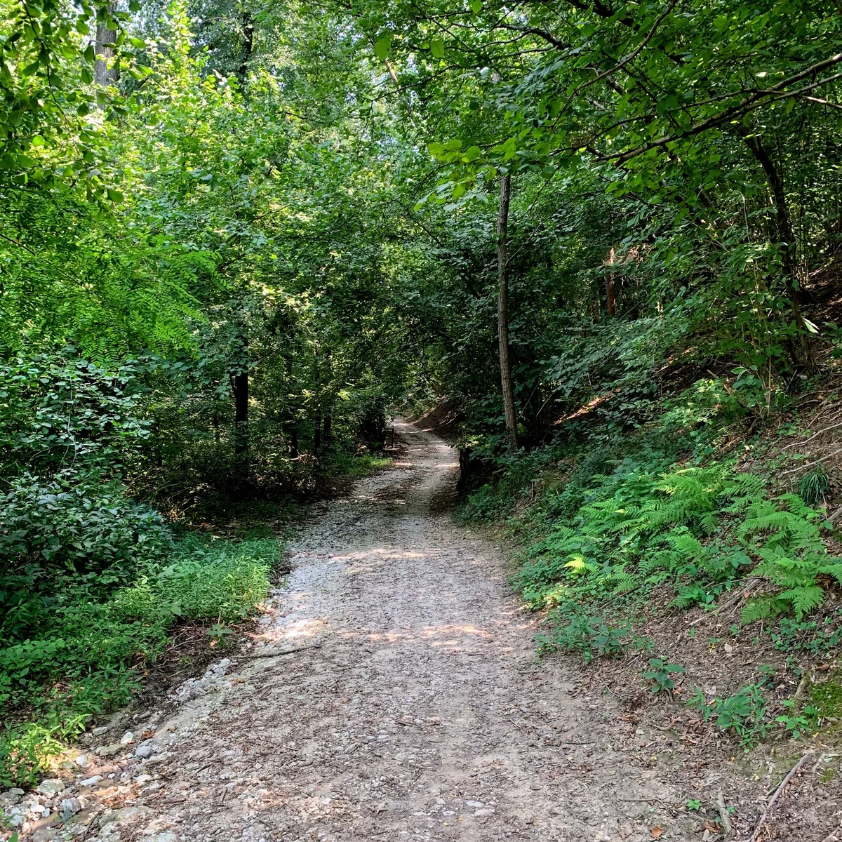 Settimana 33