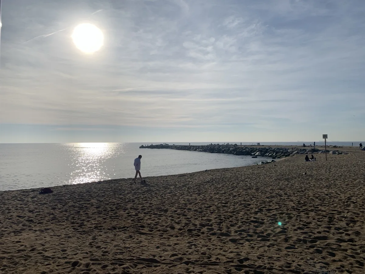 Settimana 5