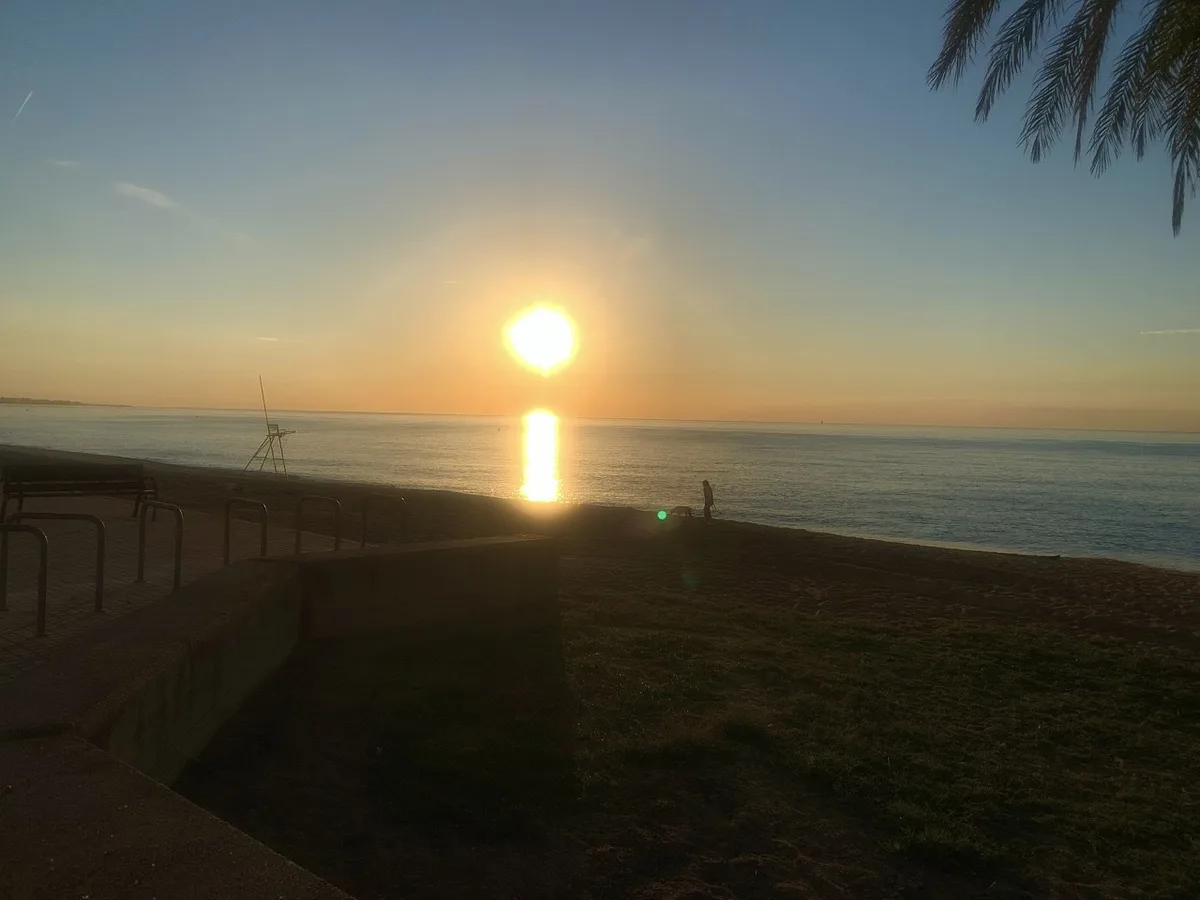 Sole basso sul mare con il riflesso e una palma in primo piano