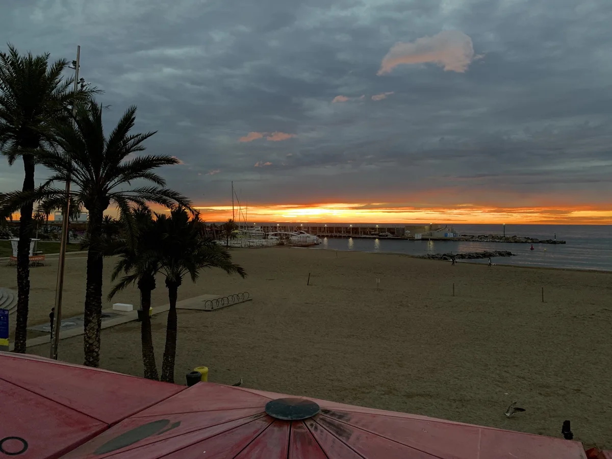 Palme sulla spiaggia al tramonto con il cielo scuro