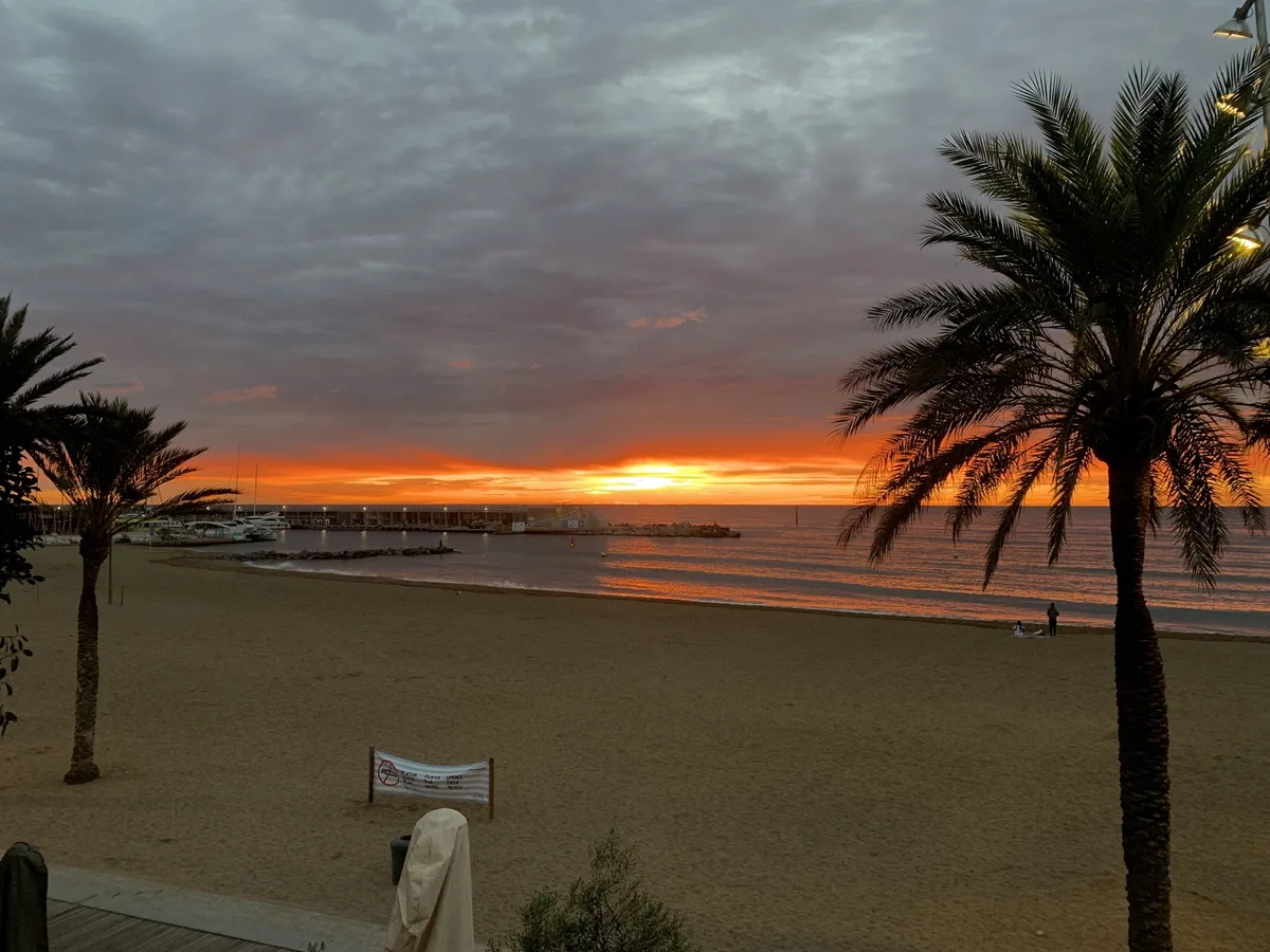 Palme e spiaggia al tramonto con il cielo nuvoloso