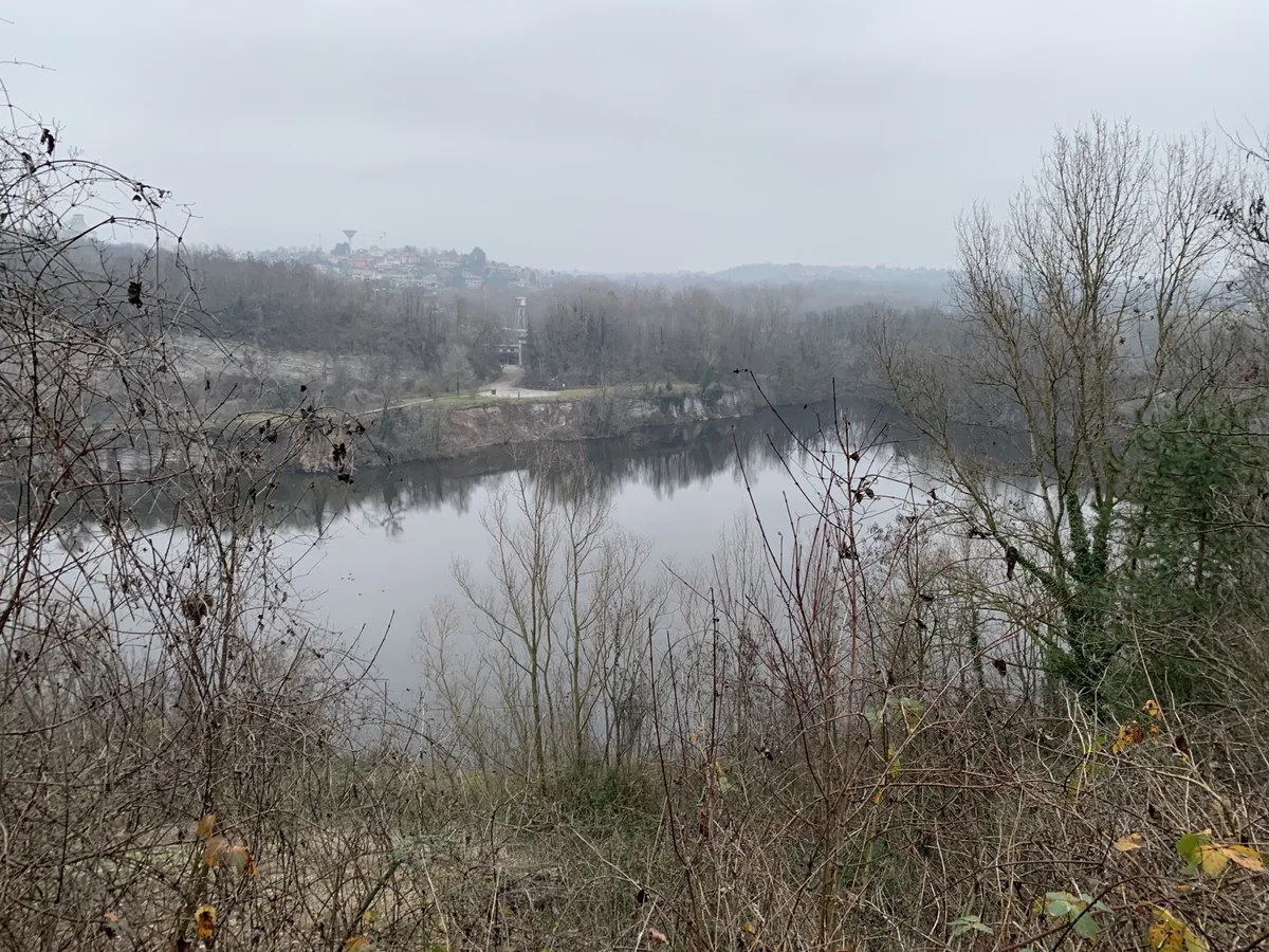 Laghetto circondato dalla vegetazione invernale spoglia