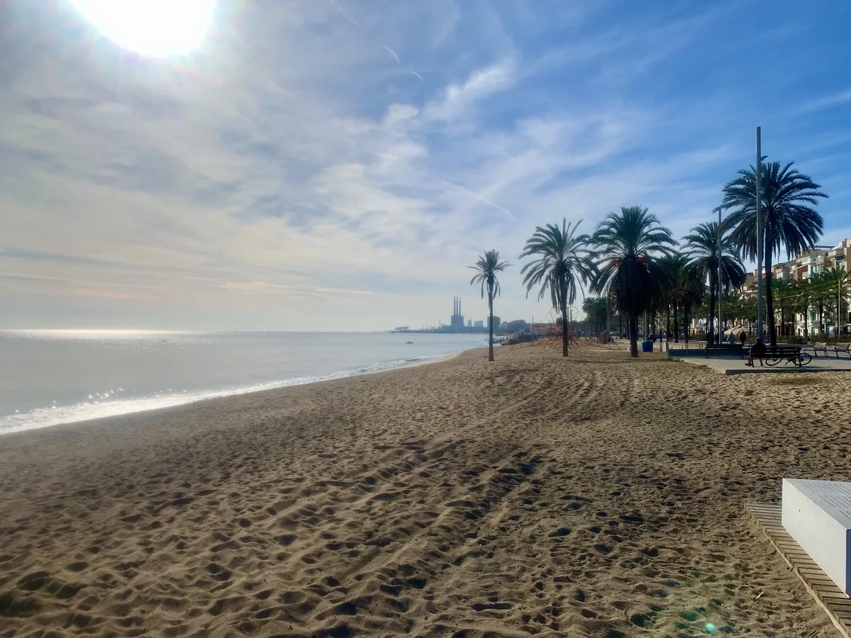 Spiaggia con le palme e le tracce dei trattori sotto un cielo con nuvole