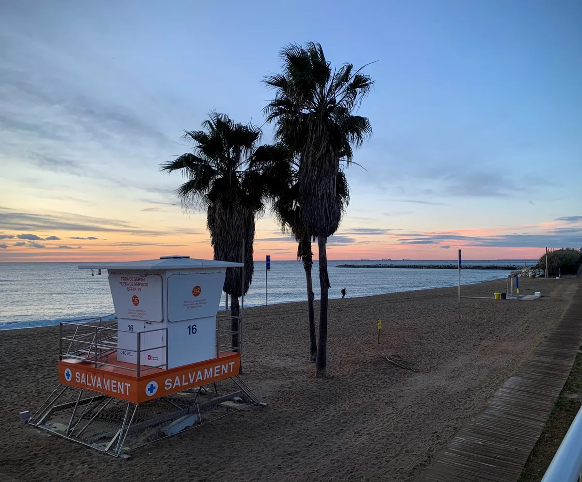 Torretta del bagnino e palme sulla spiaggia al tramonto