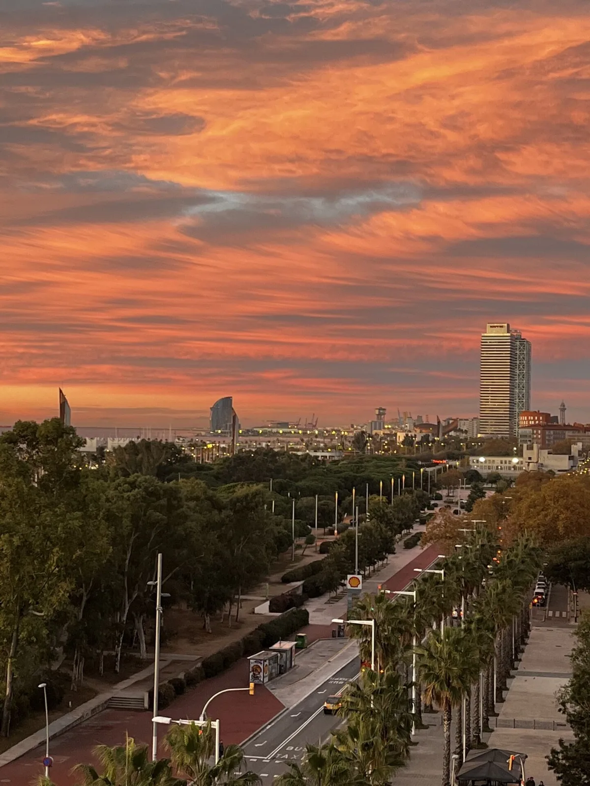 Tramonto arancione sul viale con le palme e l'Hotel Vela