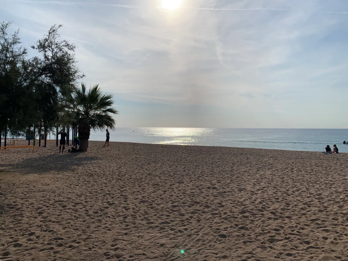 Spiaggia con palme e il sole velato sul mare