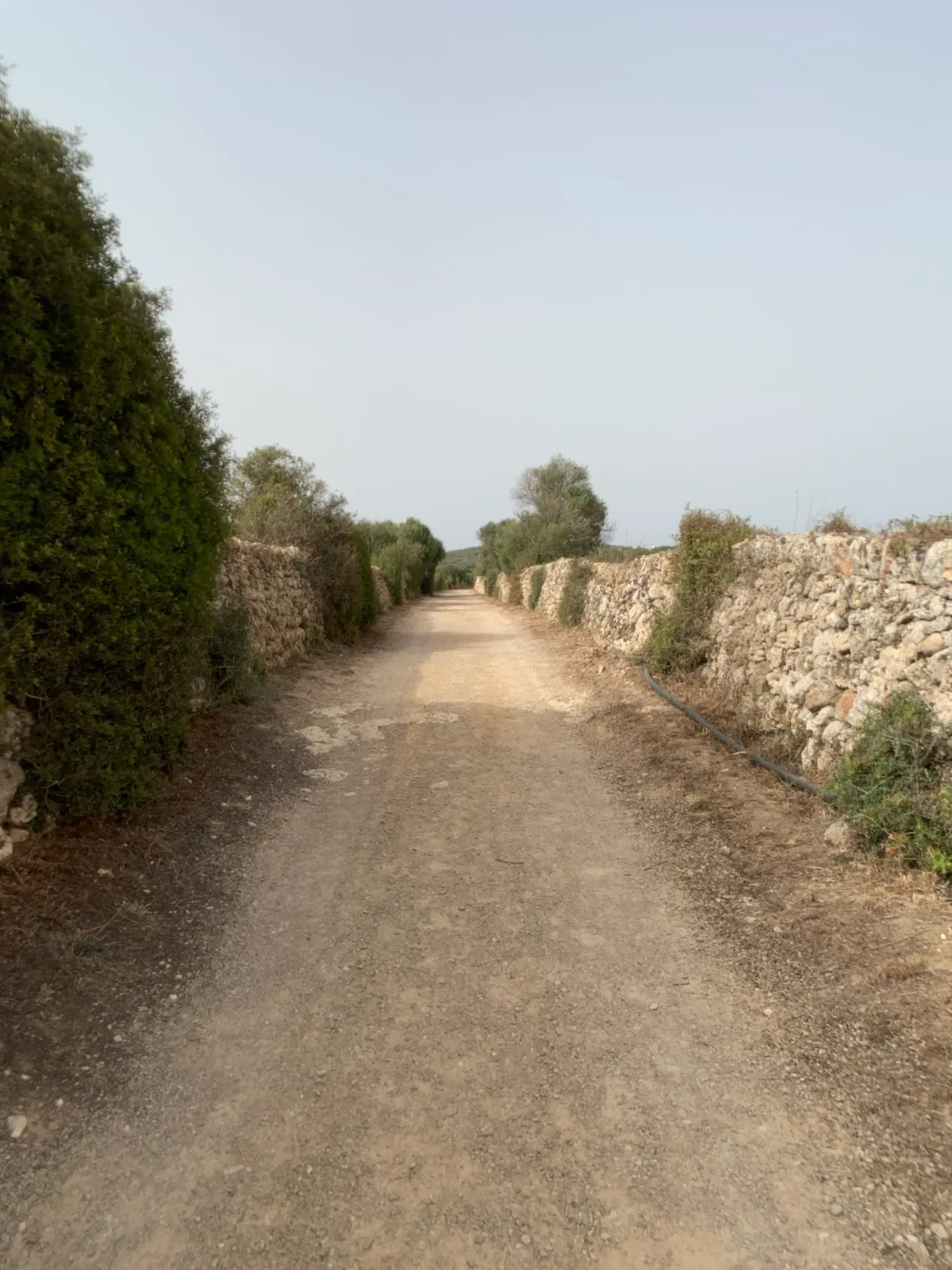 Strada sterrata tra muretti a secco e siepi