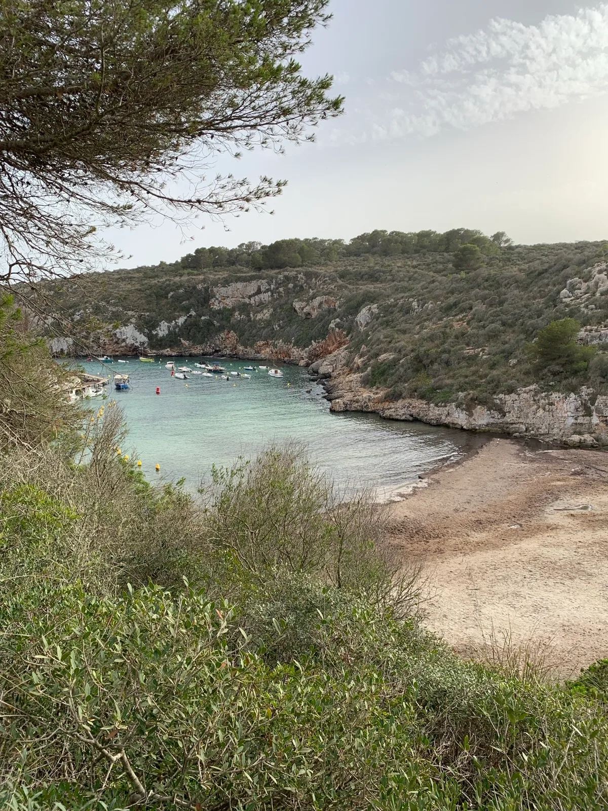 Piccola baia con acqua turchese vista dal sentiero