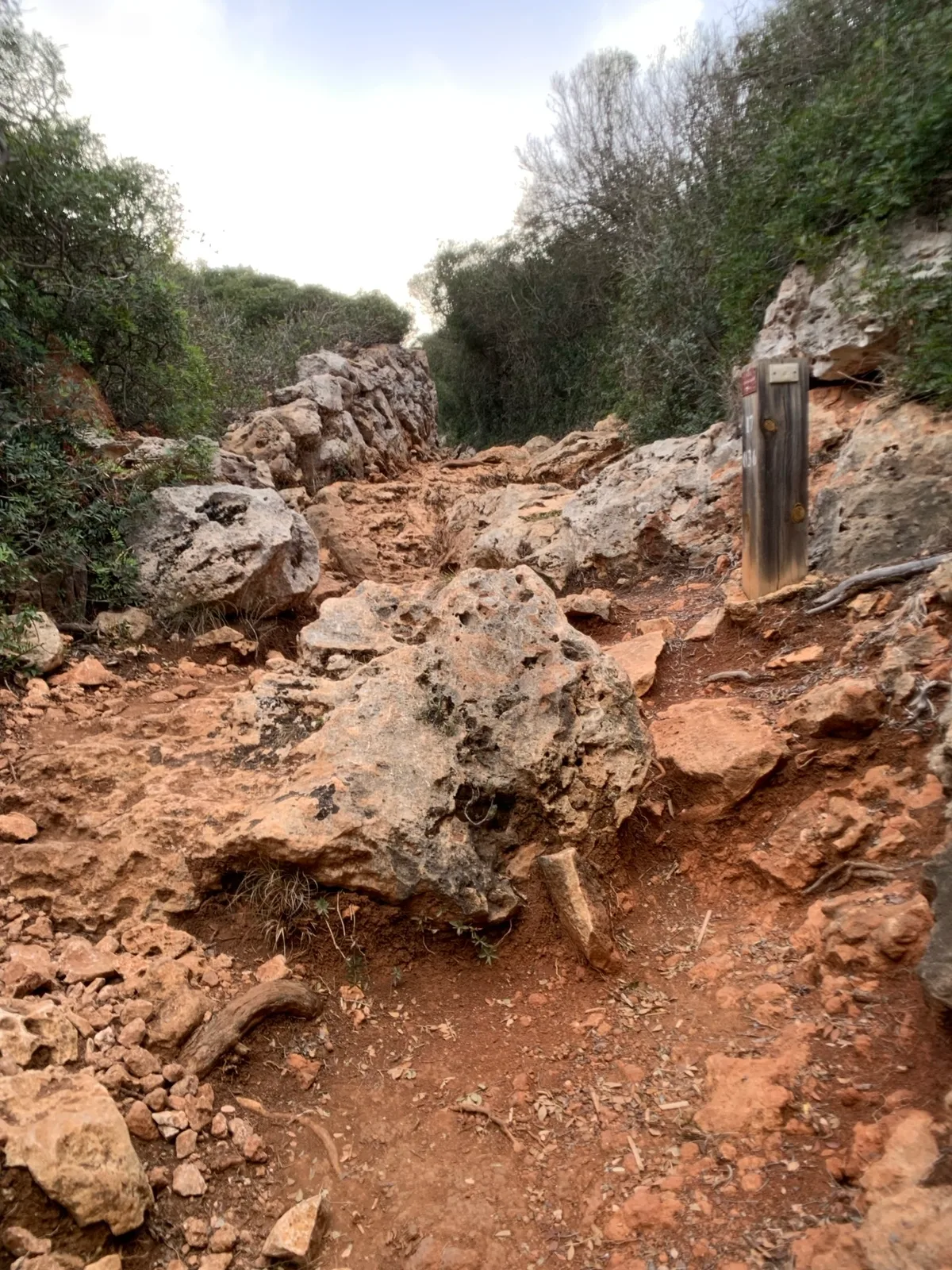 Sentiero con rocce rosse tra la vegetazione