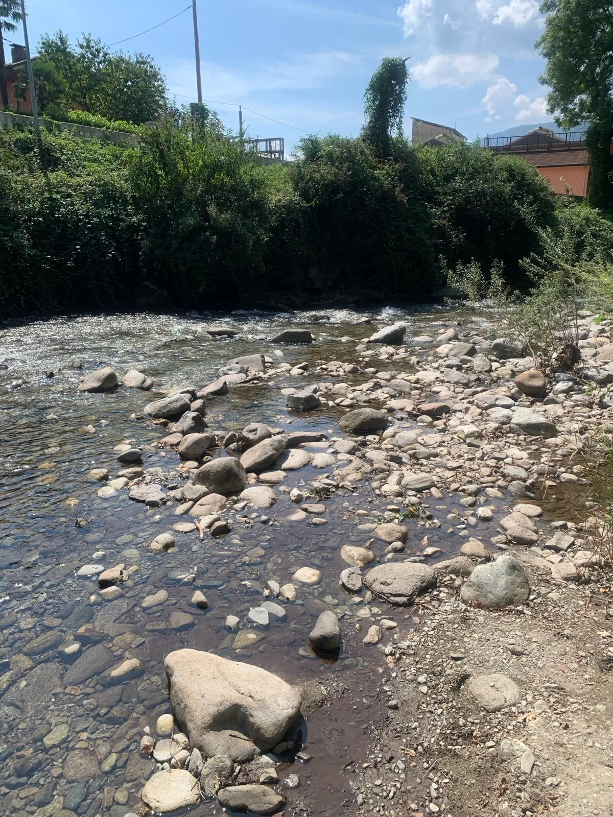 Torrente quasi in secca con sassi e vegetazione