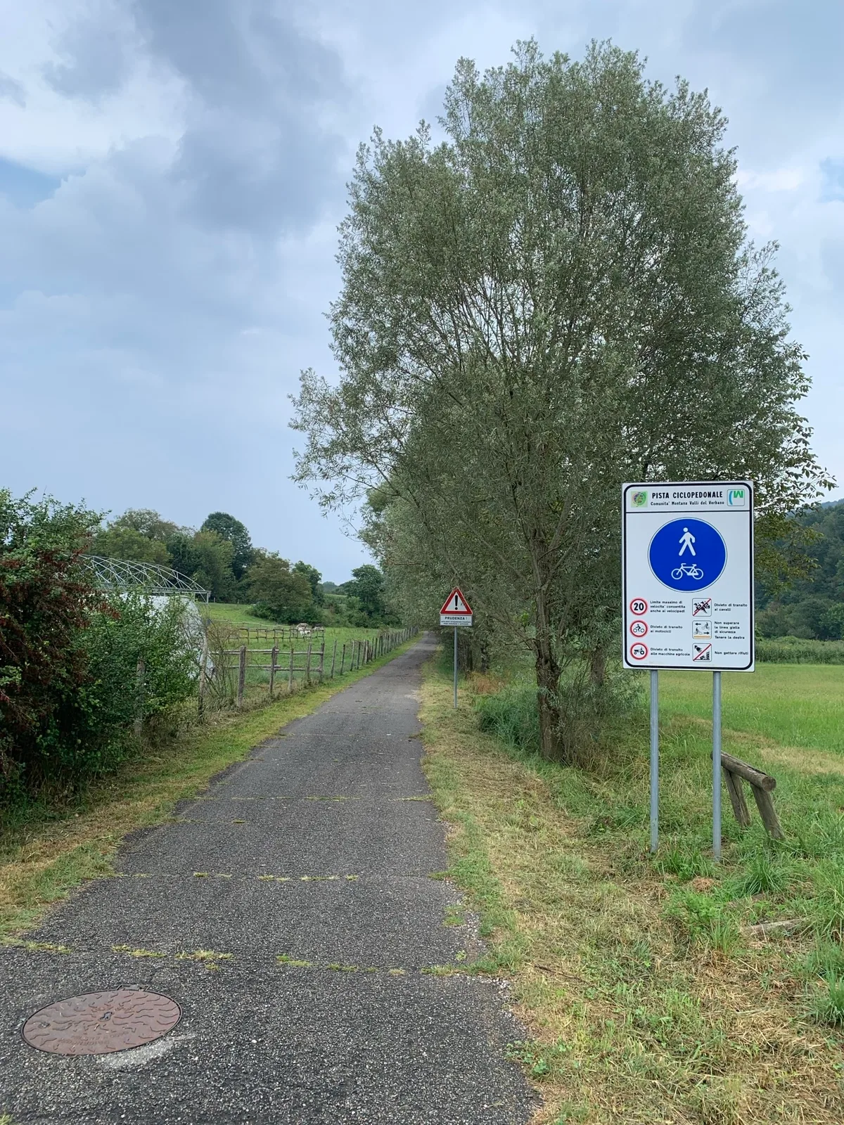Pista ciclabile asfaltata con un cartello e un albero