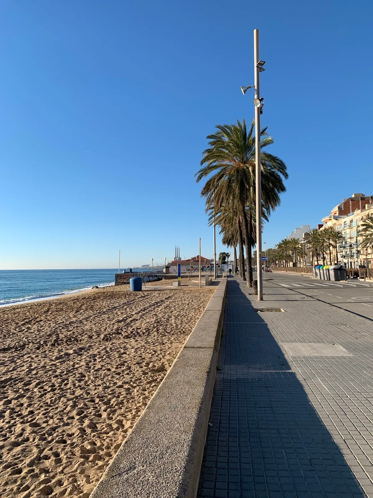 Lungomare con una palma e un muretto in riva al mare