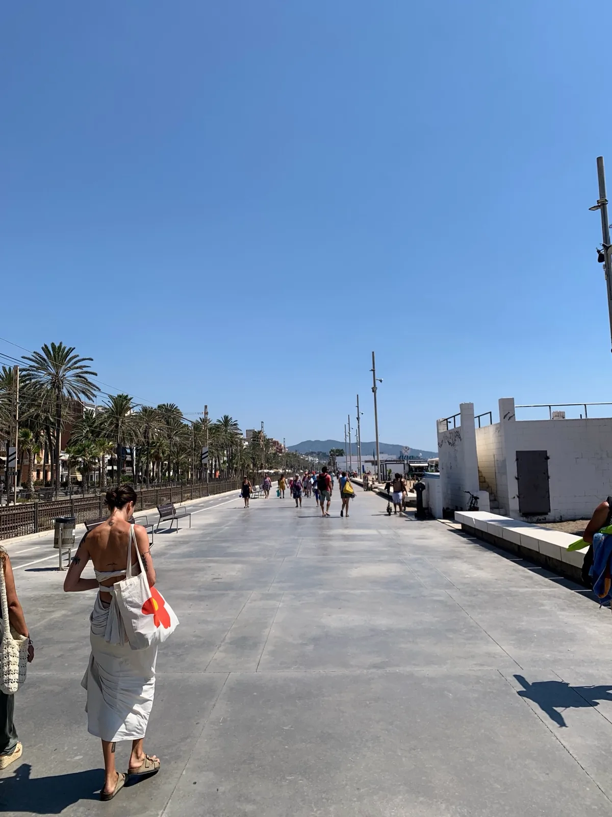 Lungomare con le palme e persone a passeggio