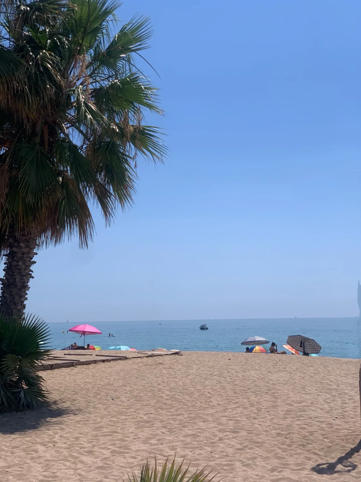 Spiaggia con palme e ombrelloni sotto un cielo azzurro