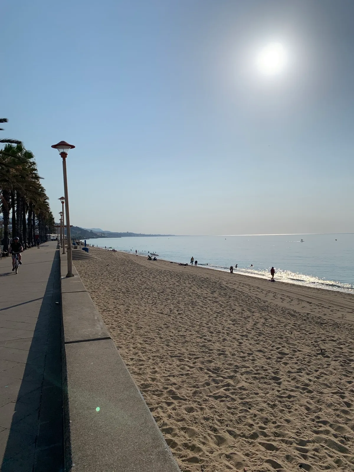 Lungomare con palme e sole alto sul mare