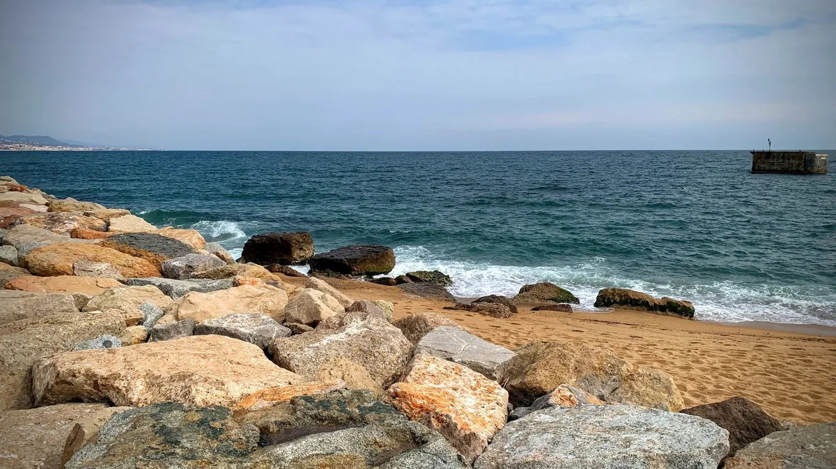 mare