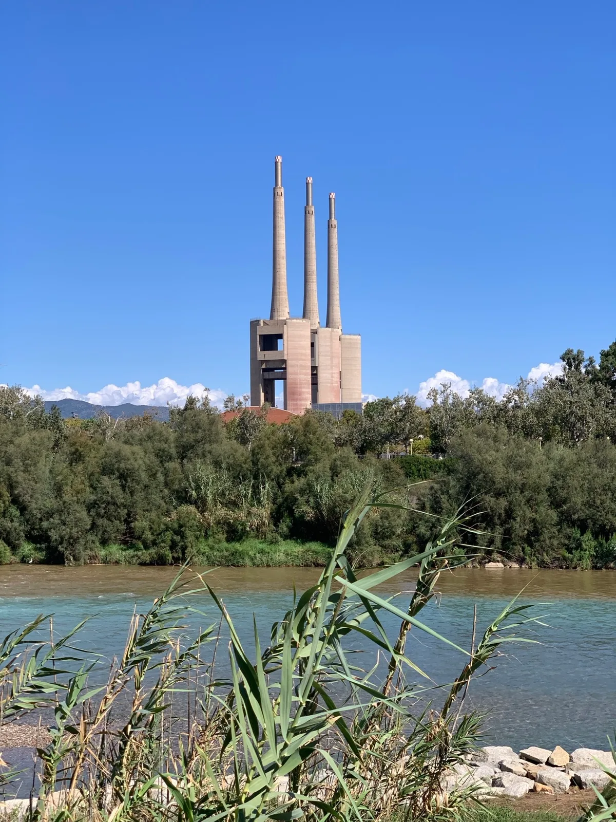 Le tre ciminiere di Sant Adrià de Besòs sopra la vegetazione del fiume
