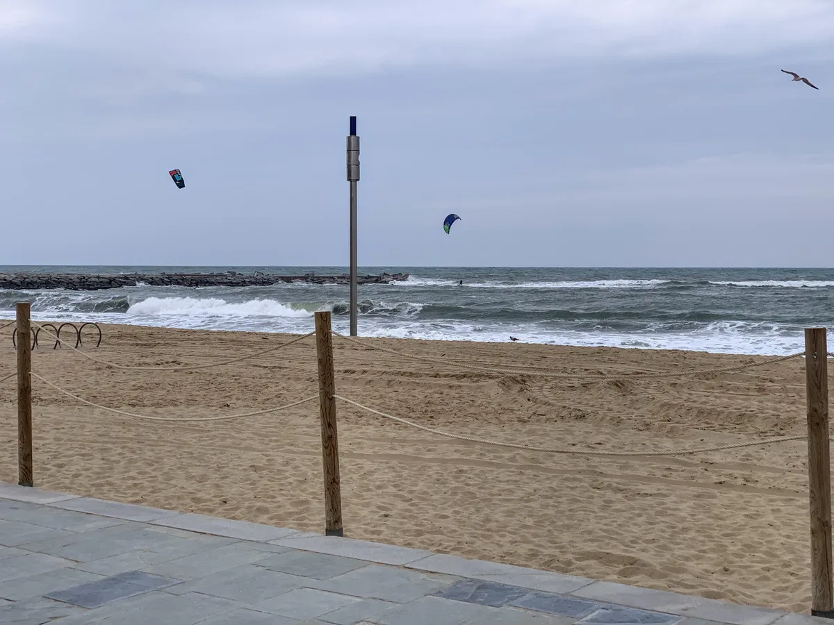 windy