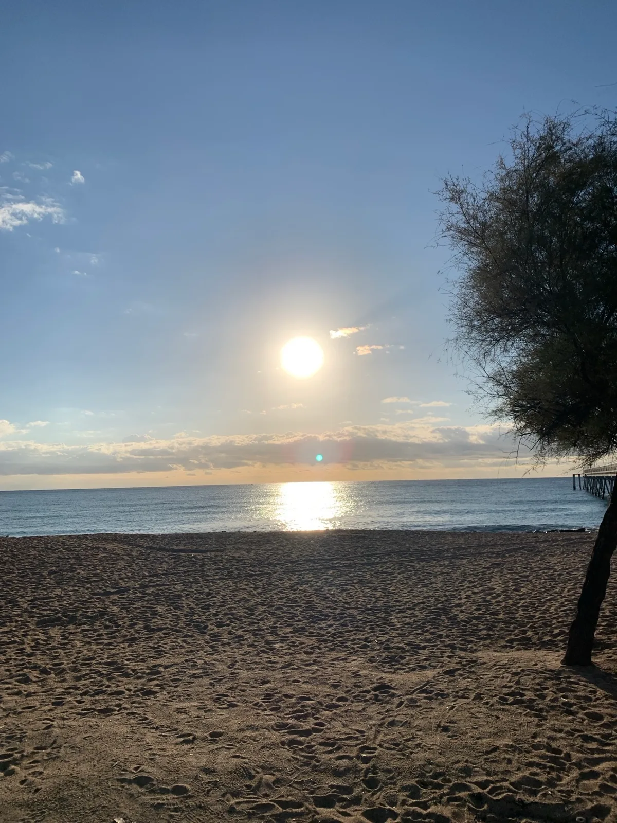 Sole basso sul mare con il molo e un albero sulla spiaggia