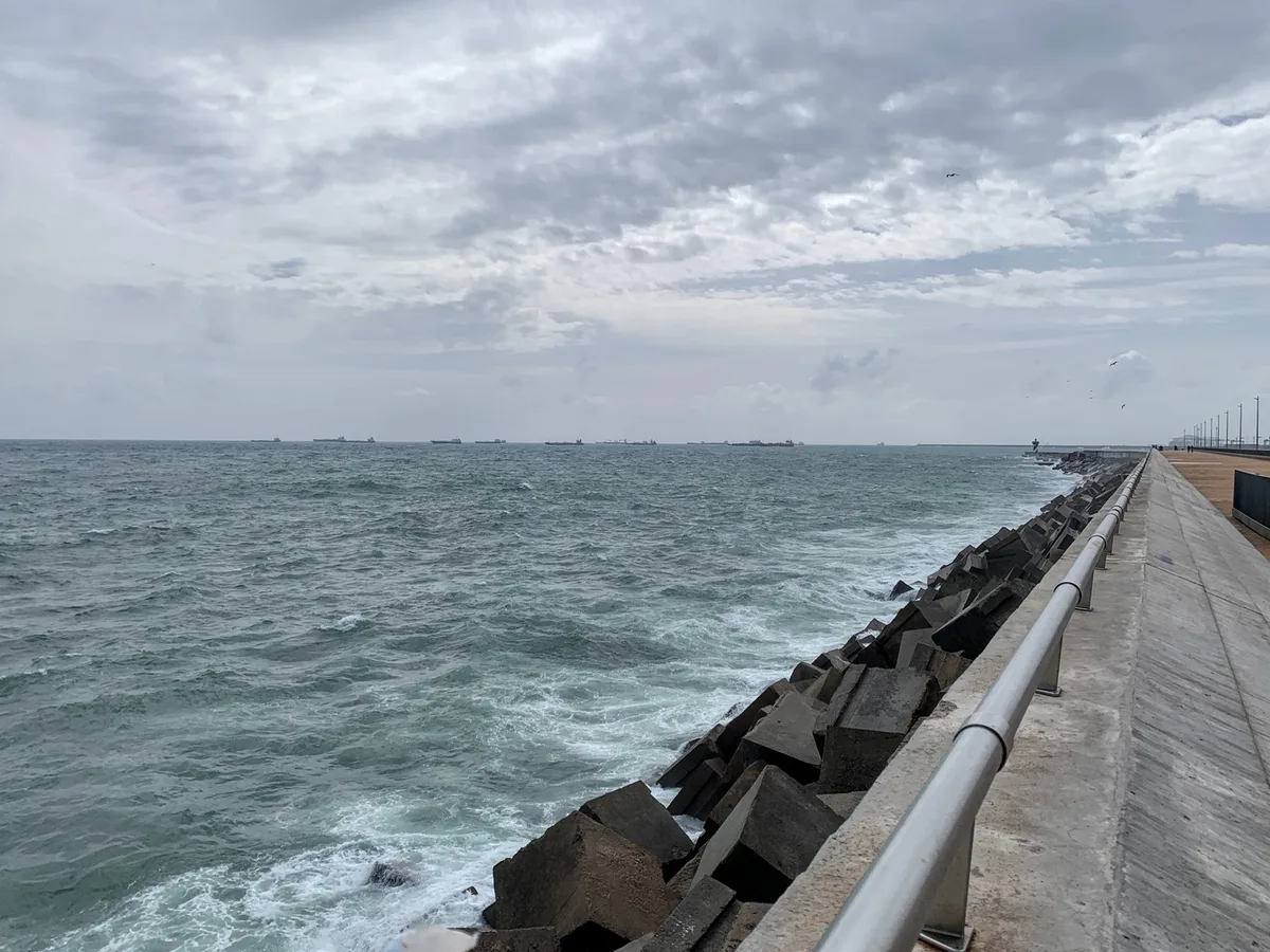 windy