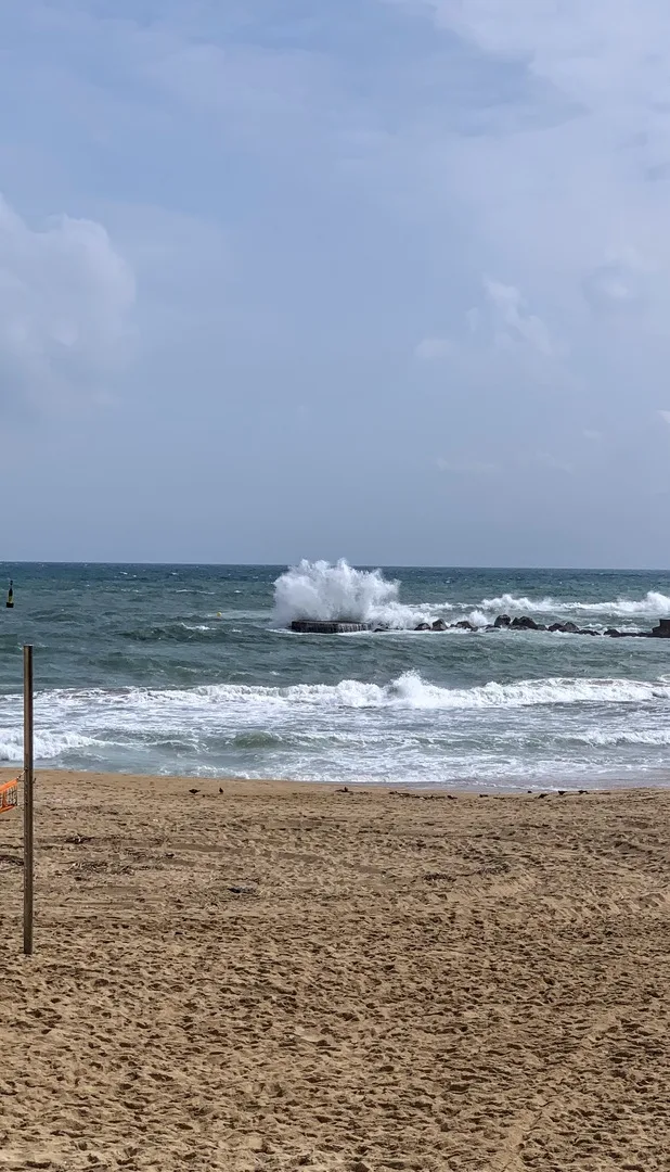 windy