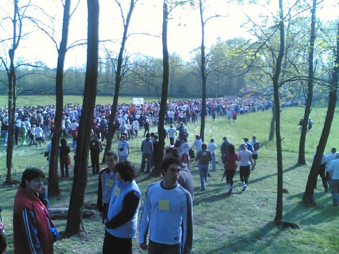 Folla di partecipanti a una corsa in un prato tra gli alberi