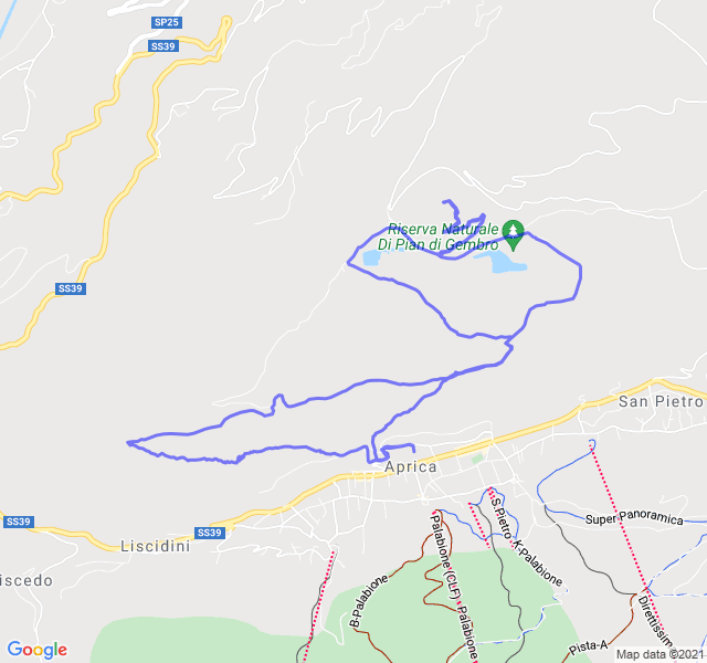 Mappa del percorso di corsa
