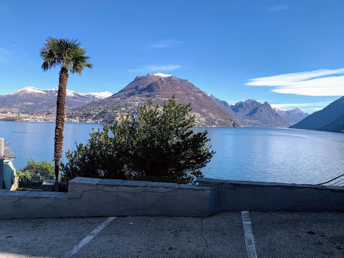Lungolago con una palma e una montagna sullo sfondo