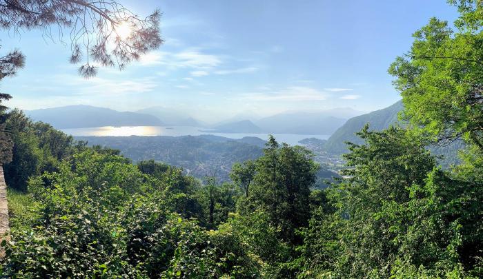 Lago visto tra gli alberi dalla collina