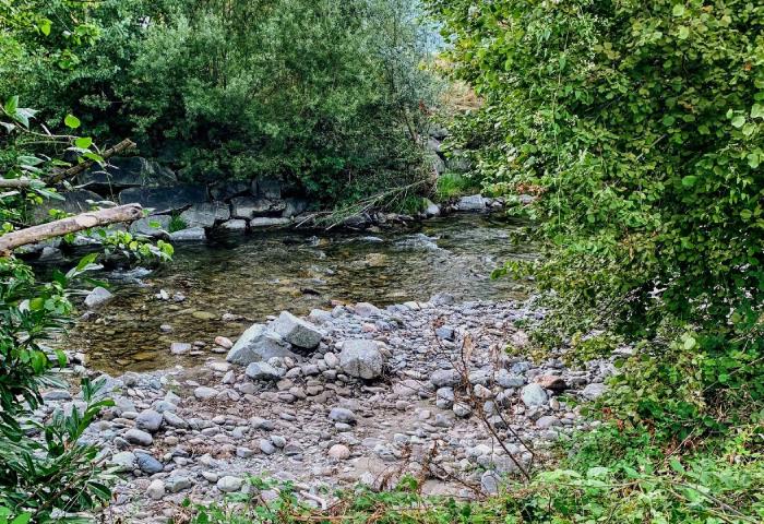 Torrente con sassi e vegetazione sulle rive