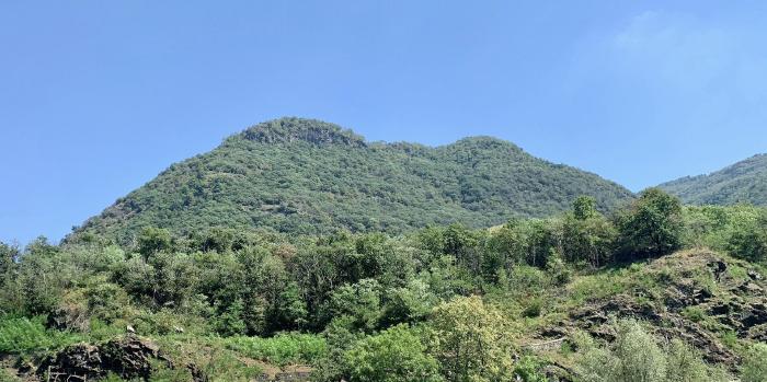 Montagna boscosa sotto un cielo azzurro