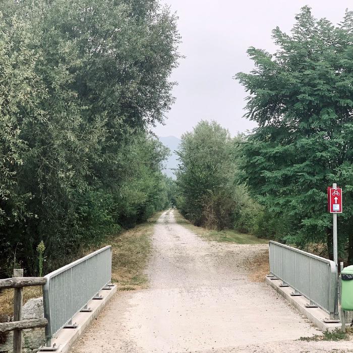 Strada sterrata con un ponticello tra gli alberi