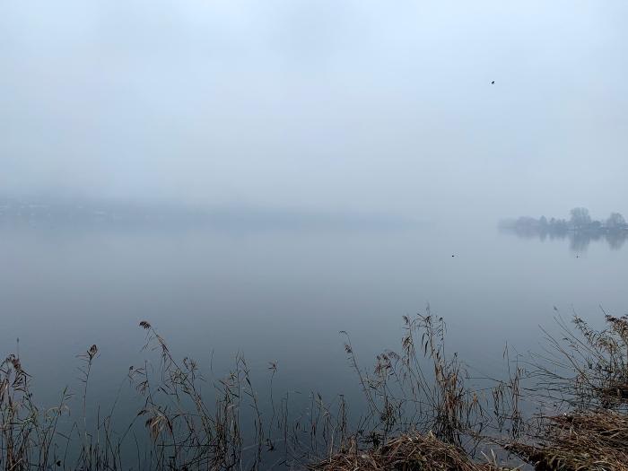 Lago nella nebbia con la riva