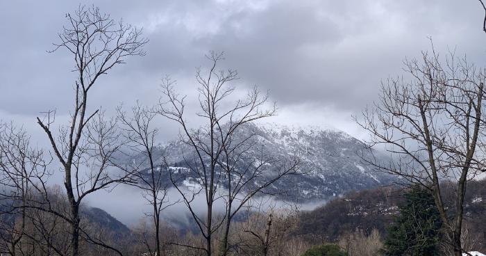 Montagne con la neve e le nuvole viste tra gli alberi