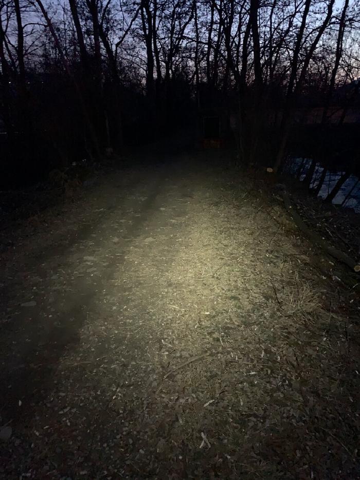Sentiero nel bosco di notte illuminato dalla frontale