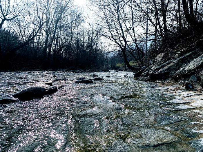 Torrente tra le rocce con alberi spogli sulle rive