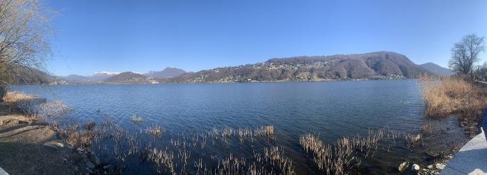 Panorama del lago con le montagne e le canne in primo piano