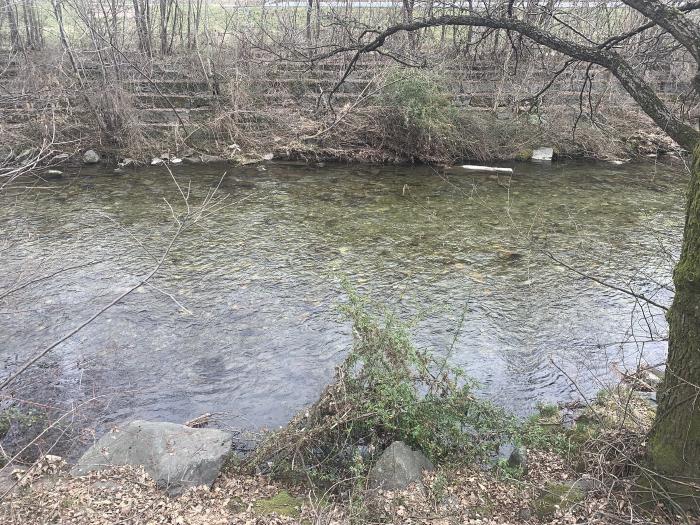 Fiume con acqua limpida e le sponde con la vegetazione secca