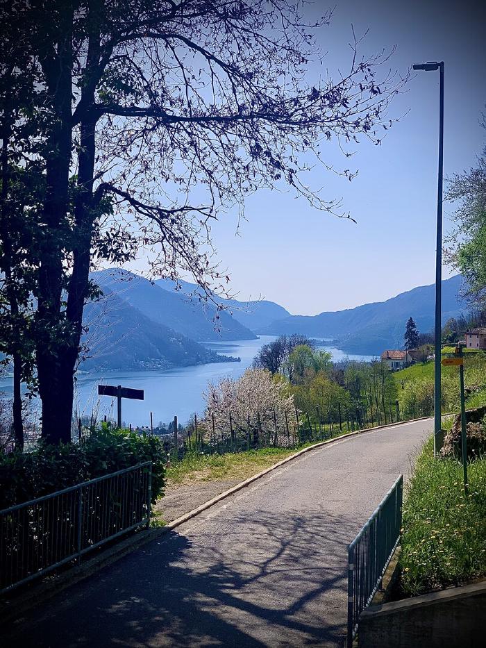 Strada in discesa con il lago e le montagne in lontananza