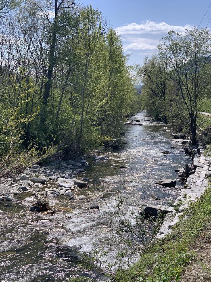 Torrente tra gli alberi in primavera visto dal ponte