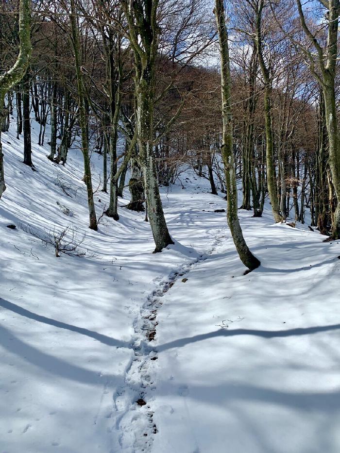 Neve