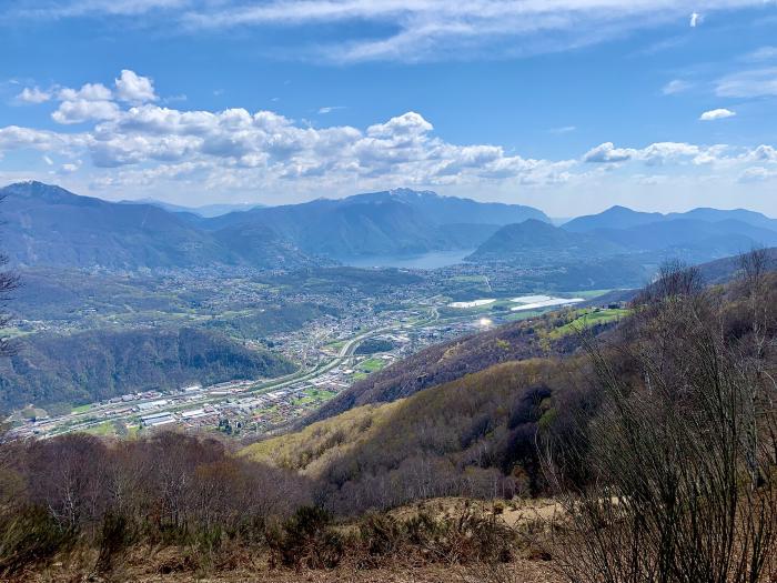 Panorama