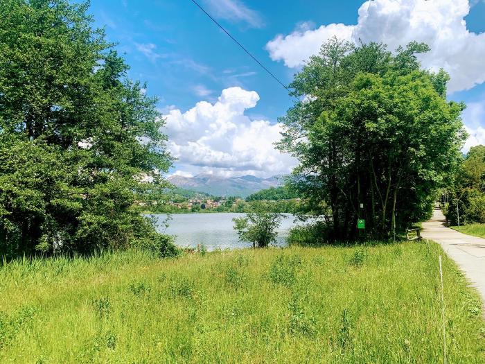 Prato verde con un laghetto e alberi sotto un cielo con nuvole
