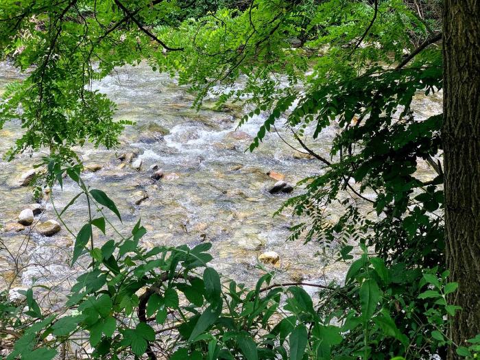 fiume