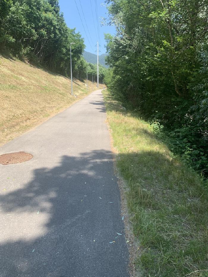 Pista ciclabile asfaltata tra un prato e gli alberi