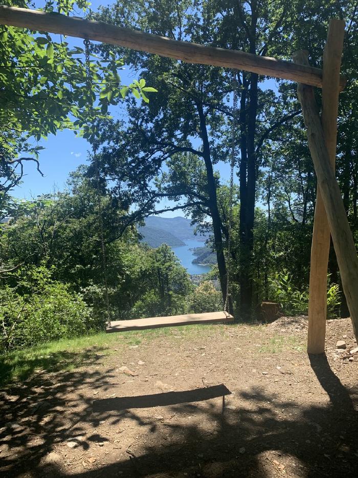 Altalena di legno in una radura con vista sul lago tra gli alberi